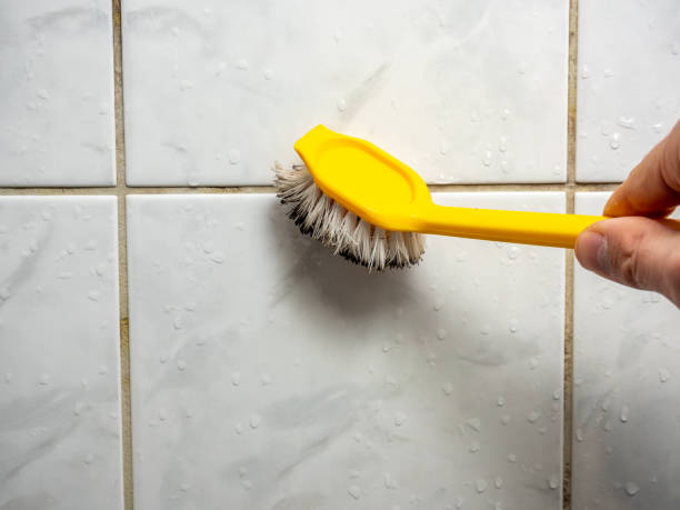 Best Black Mold Removal  in Slater, IA